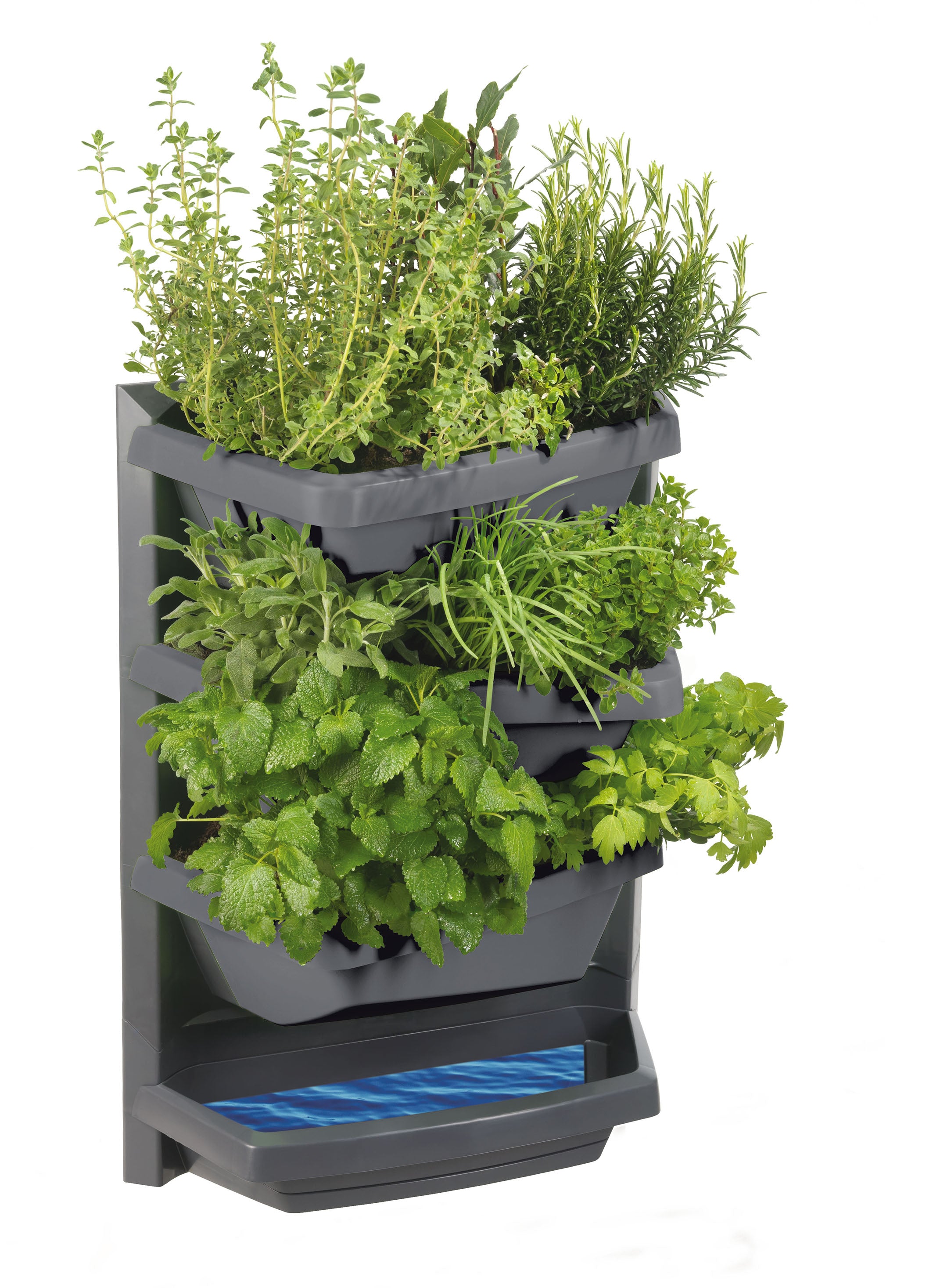 Vertical Garden basic element - titanium with titanium