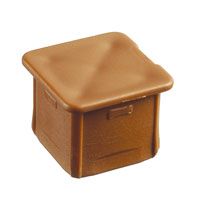 cover plug