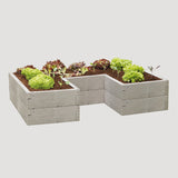 raised bed Timber Ergoline